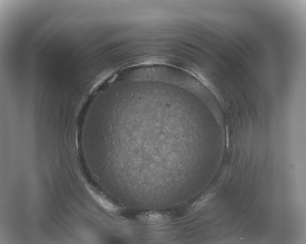 X0000066540253200603241419