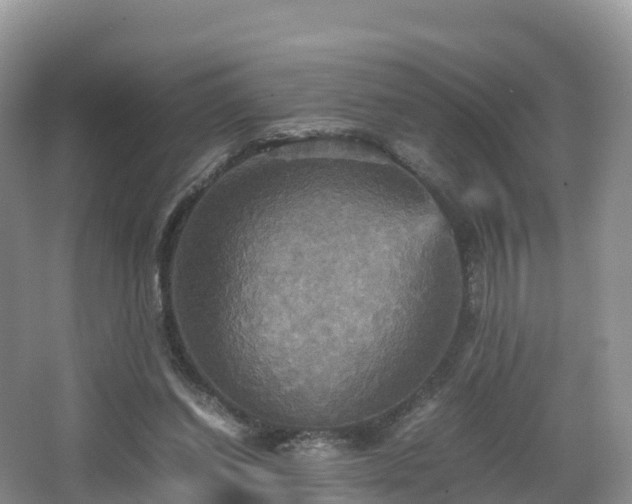 X0000066540254200603241419