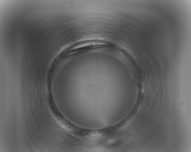 X0000066540256200603241419