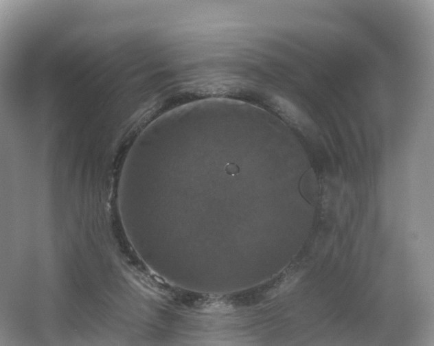 X0000066540258200603241419