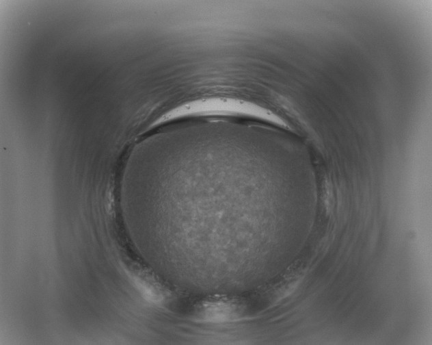 X0000066540259200603241419