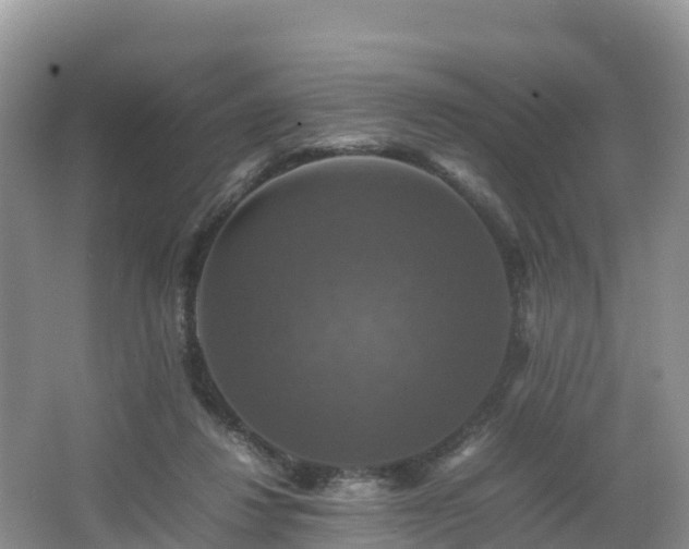 X0000066540260200603241419