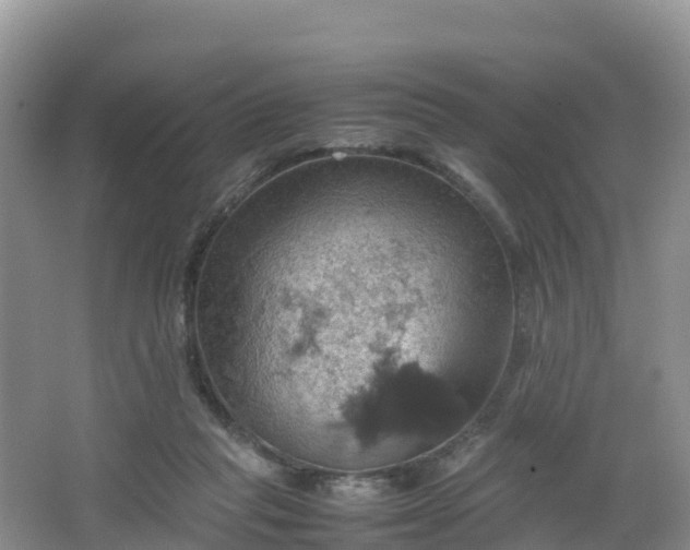 X0000066540261200603241419