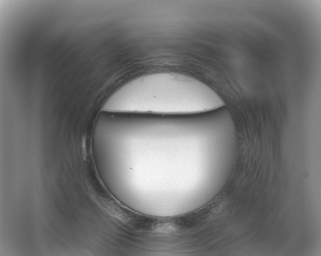 X0000066540262200603241419