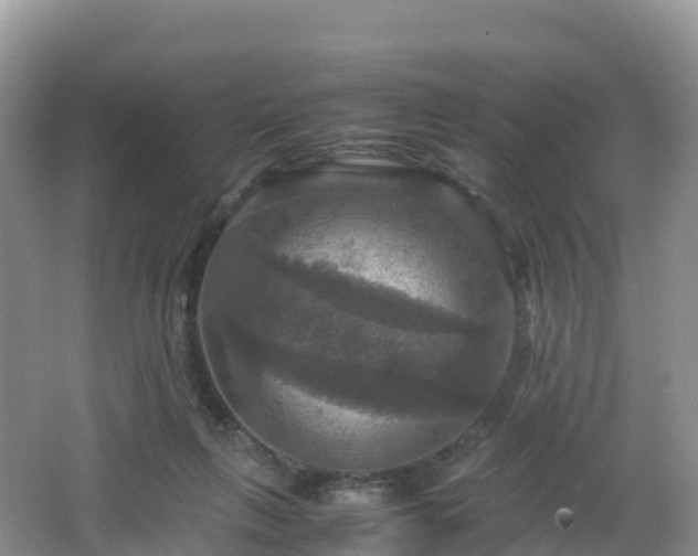 X0000066540263200603241419