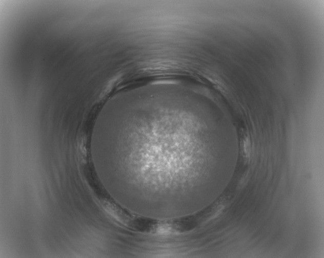 X0000066540264200603241419