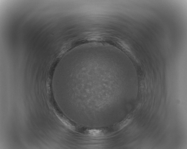 X0000066540265200603241419