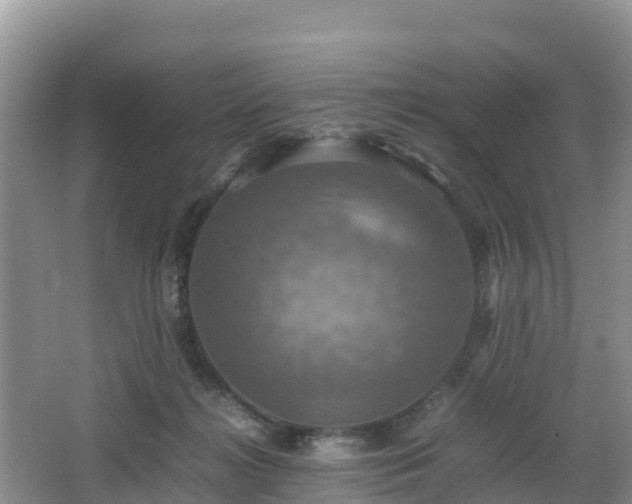 X0000066540268200603241419