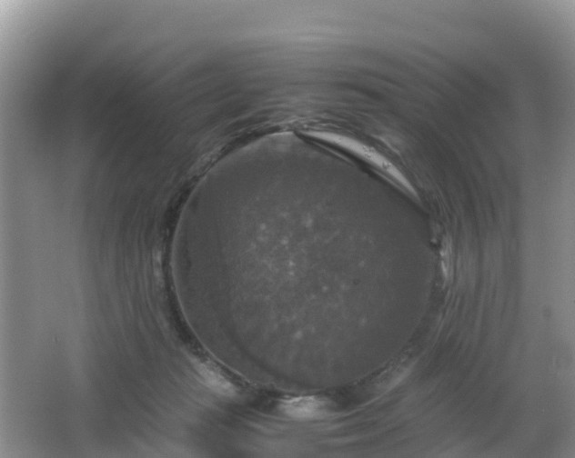 X0000066540269200603241419