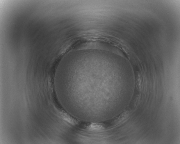 X0000066540270200603241419