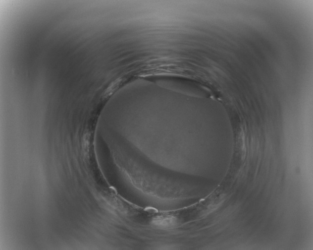 X0000066540271200603241419