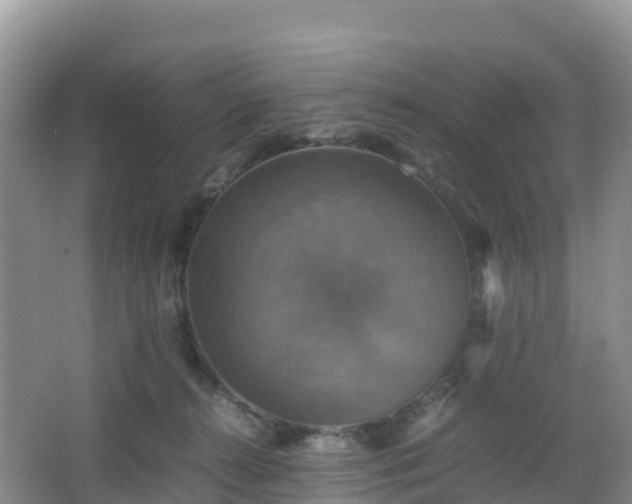 X0000066540272200603241419