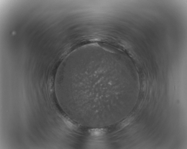 X0000066540273200603241419