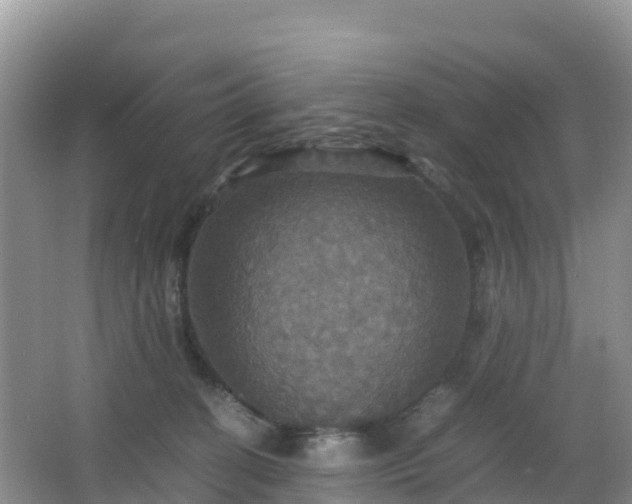 X0000066540274200603241419