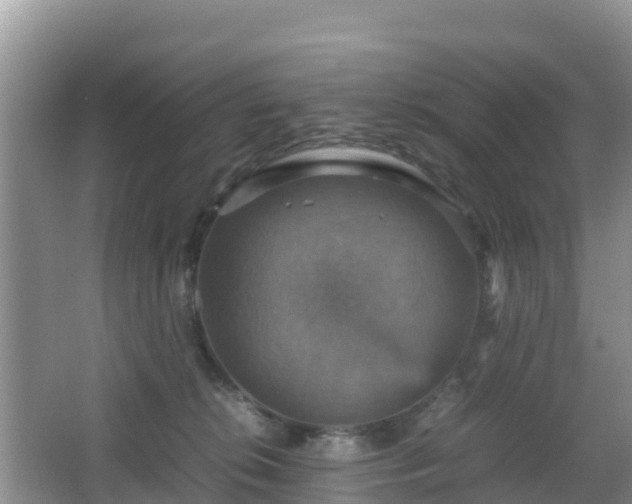 X0000066540276200603241419