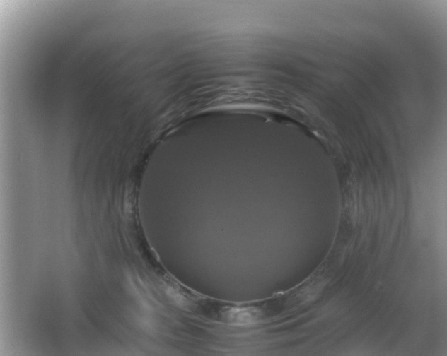 X0000066540277200603241419