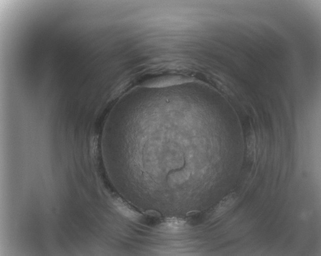 X0000066540278200603241419