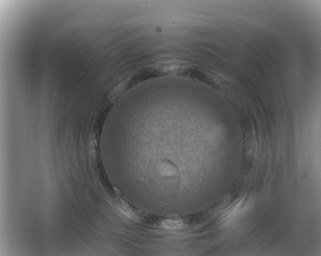 X0000066540279200603241419