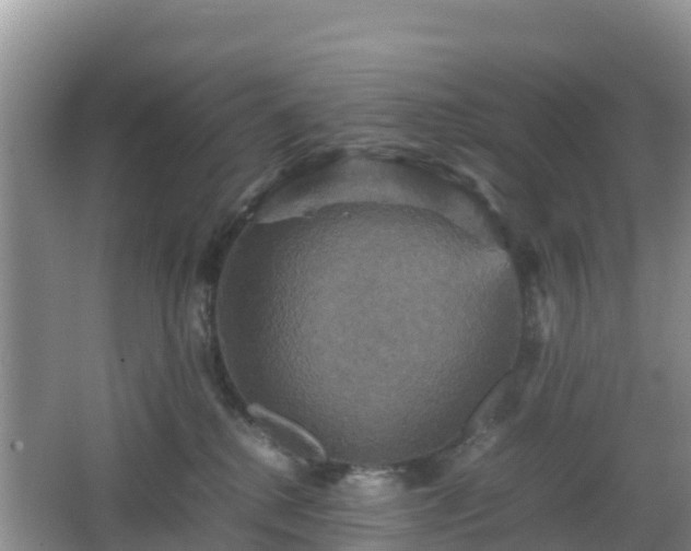 X0000066540280200603241419