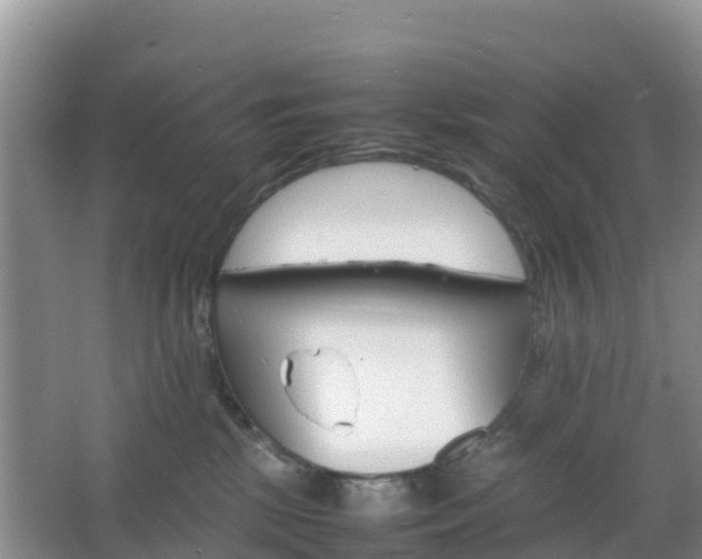 X0000066540281200603241419