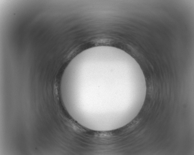 X0000066540282200603241419