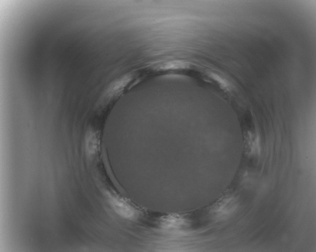 X0000066540284200603241419