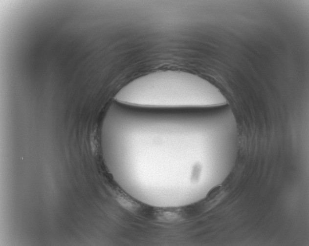 X0000066540285200603241419