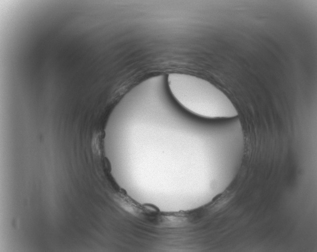 X0000066540286200603241419