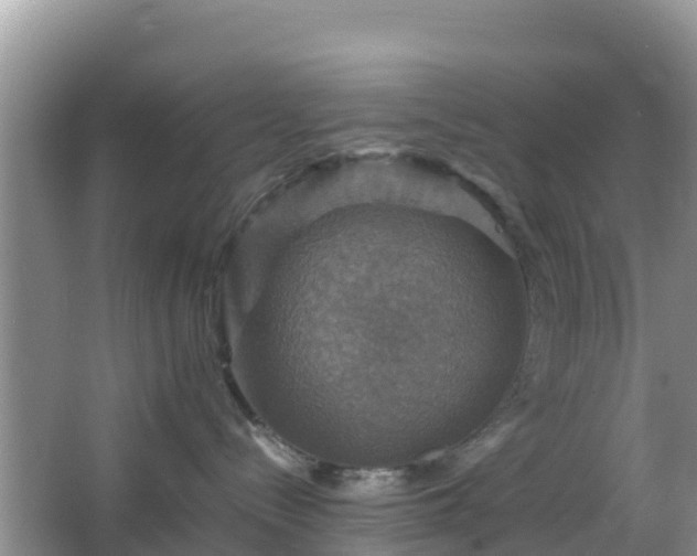 X0000066540288200603241419