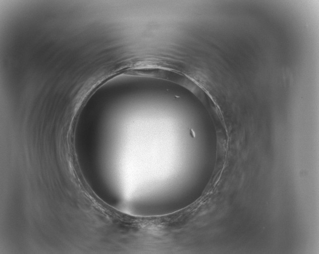 X0000066540289200603241418