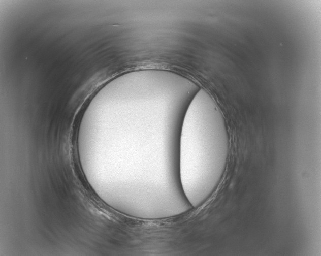 X0000066540290200603241418