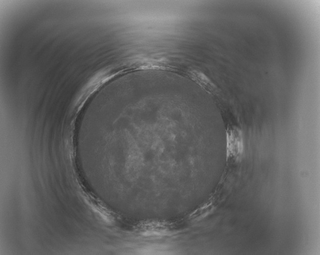 X0000066540291200603241418