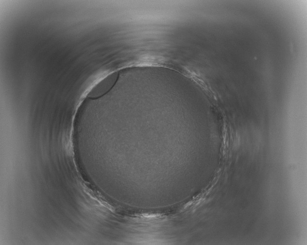 X0000066540292200603241418