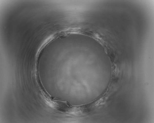 X0000066540293200603241418