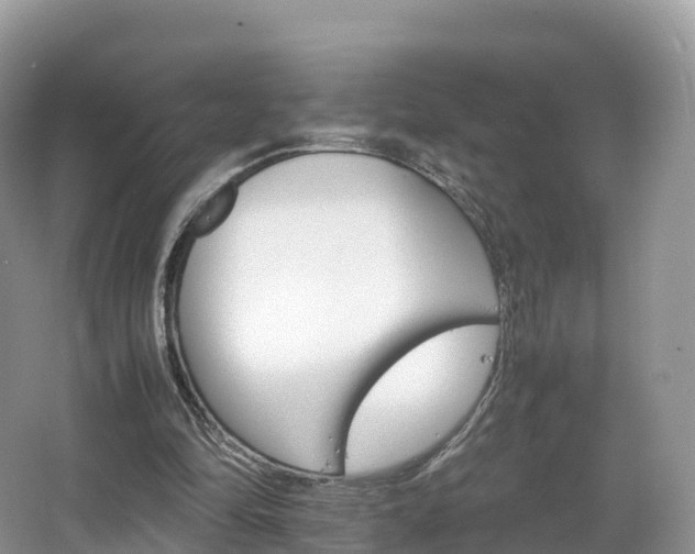 X0000066540294200603241418