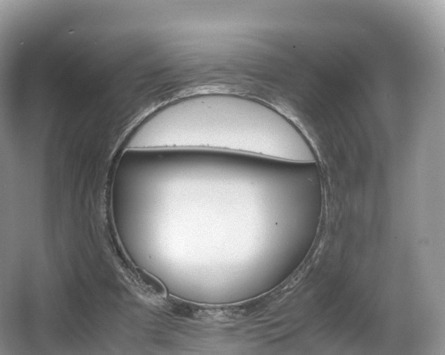 X0000066540297200603241418