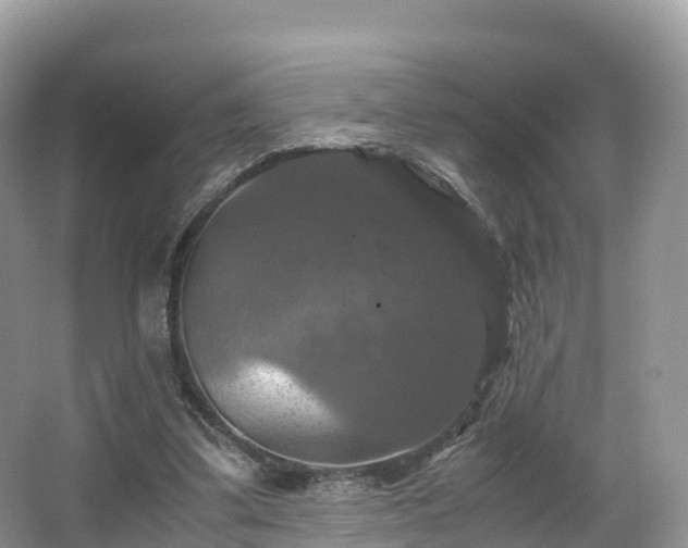 X0000066540299200603241418