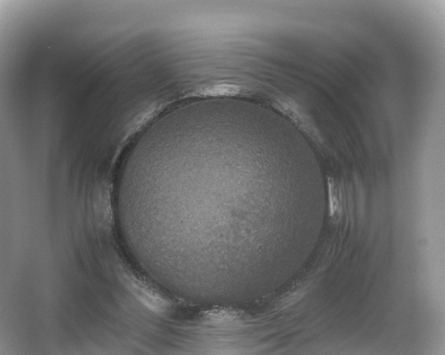 X0000066540300200603241418