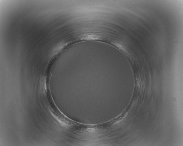 X0000066540302200603241418