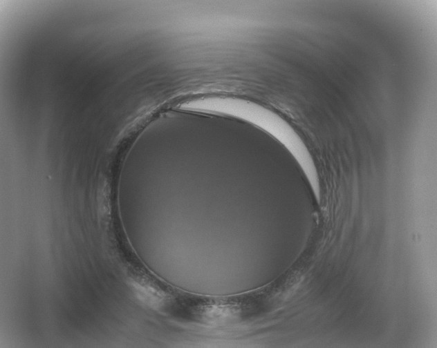 X0000066540303200603241418