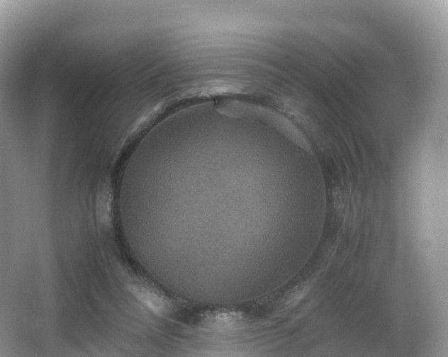 X0000066540304200603241418