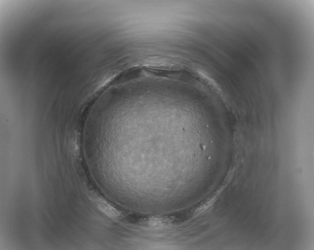 X0000066540305200603241418