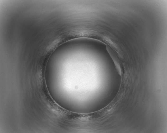 X0000066540306200603241418