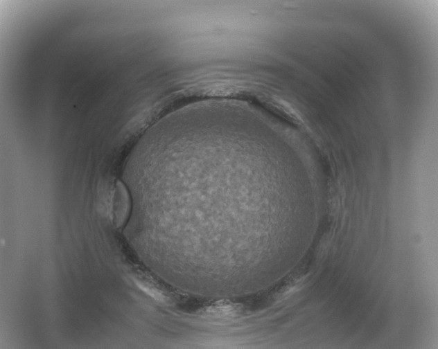 X0000066540307200603241418