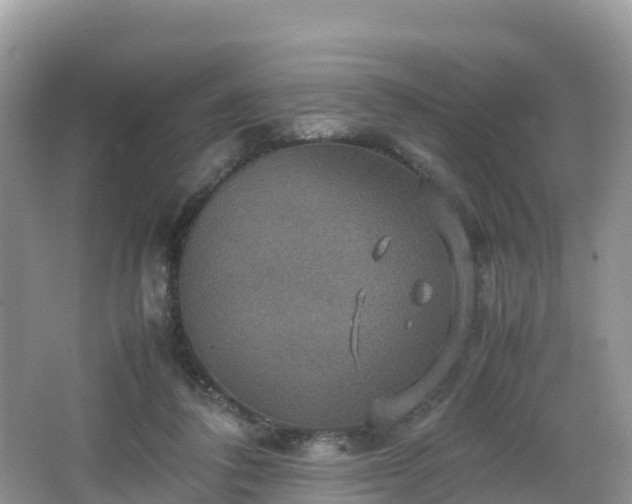 X0000066540308200603241418