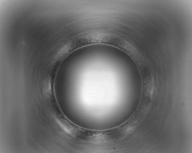 X0000066540310200603241418