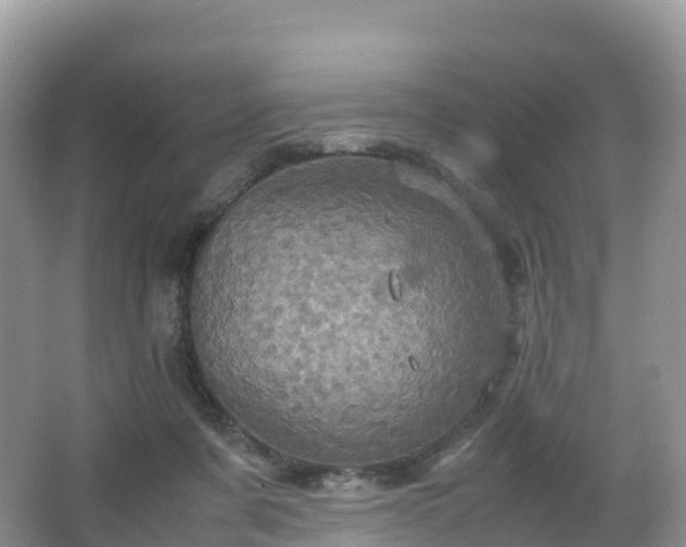 X0000066540311200603241418