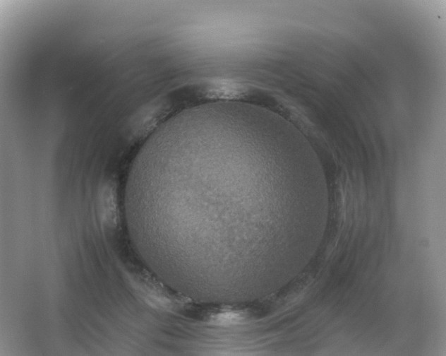 X0000066540312200603241418