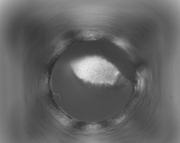 X0000066540314200603241418