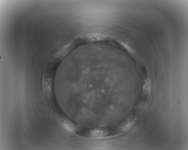 X0000066540315200603241418